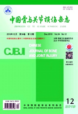 中国骨与关节损伤杂志
